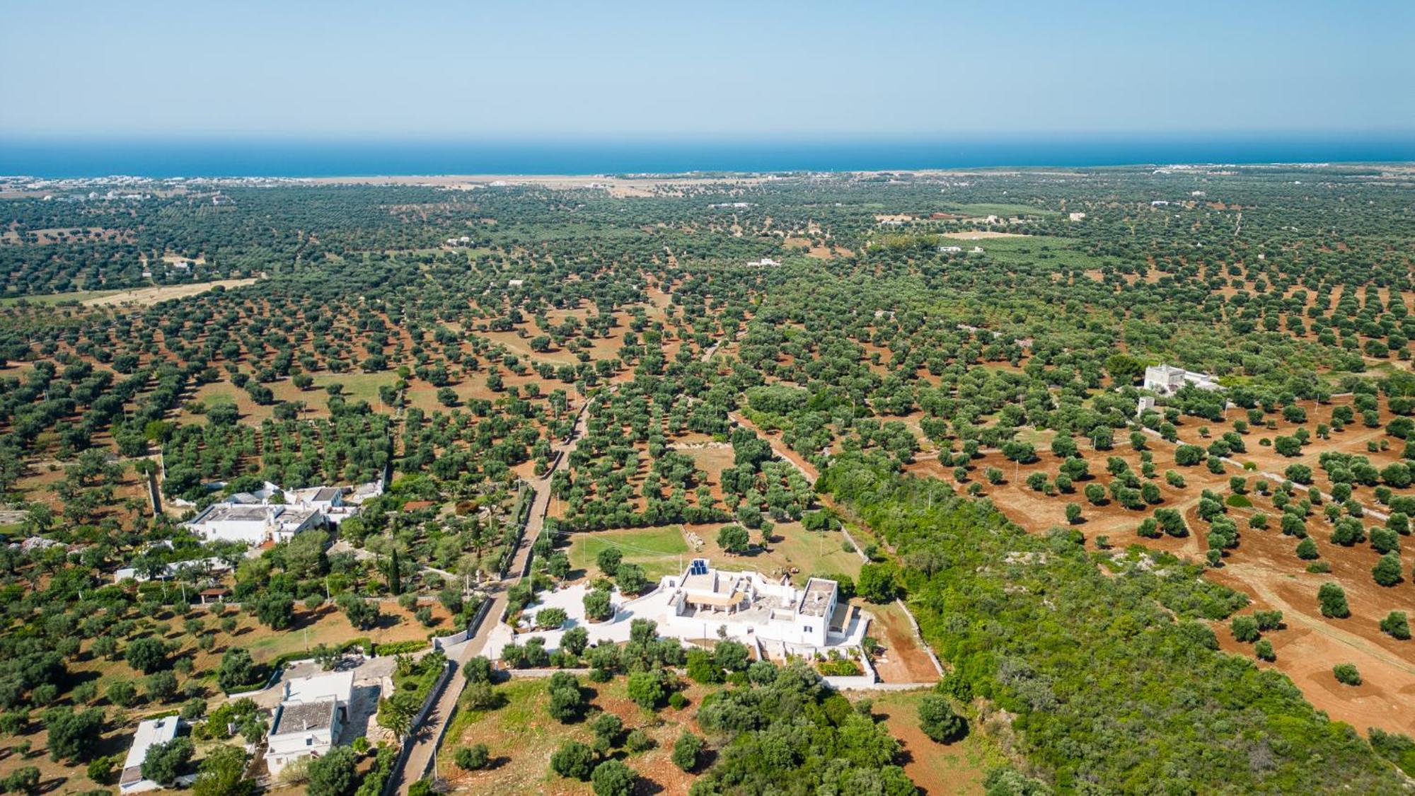 Masseria Abadia Uno Ostuni Ngoại thất bức ảnh